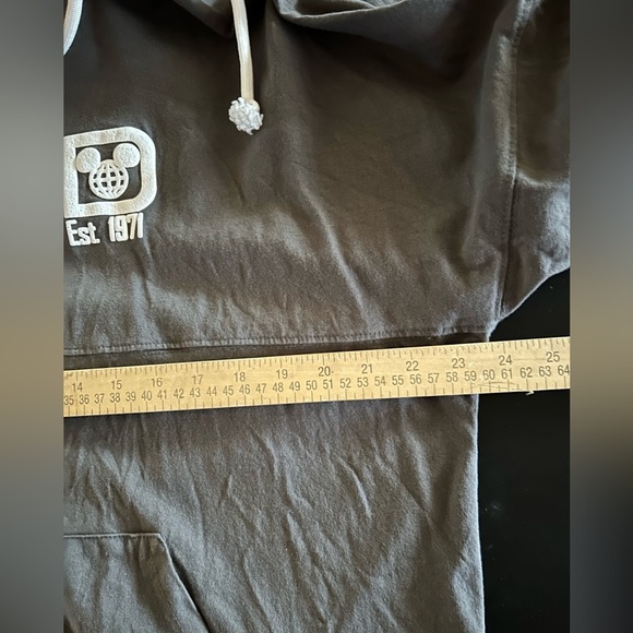 Disney Authentic Original Disney World Spirit Jersey Gray Pullover Hoodie Size L - Picture 8 of 9